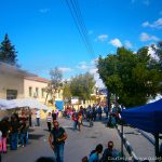 Buyukkonuk Festival 1 - North Cyprus Pictures