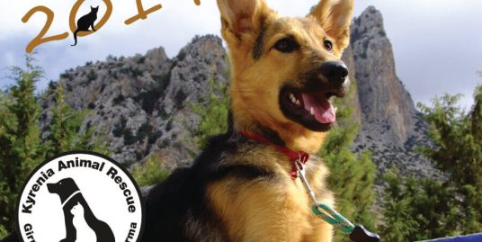 Kyrenia Animal Rescue