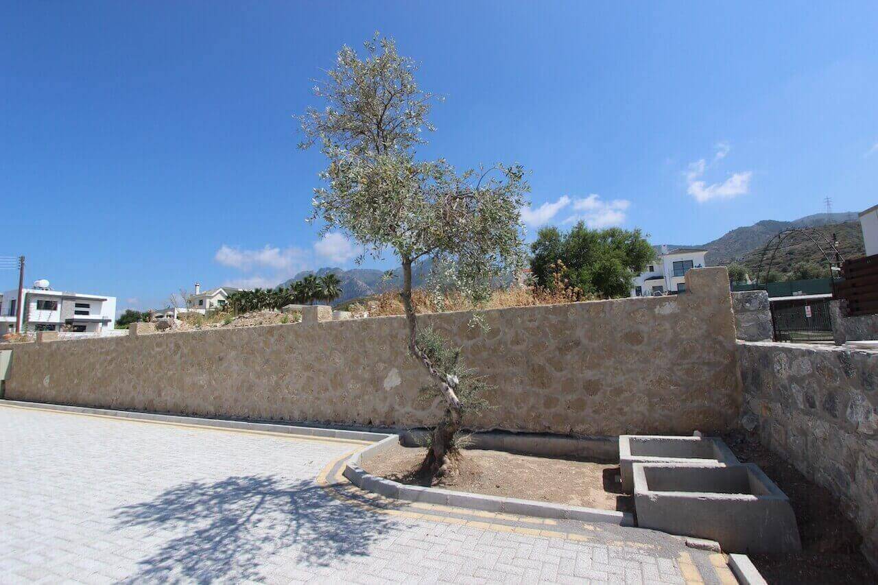 Alsancak Hillside Groundfloor Apartment 2 Bed - North Cyprus Property 5