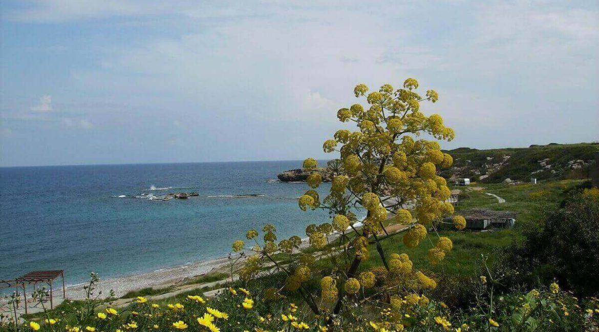 Tatlisu Marina Site Images - North Cyprus International 14