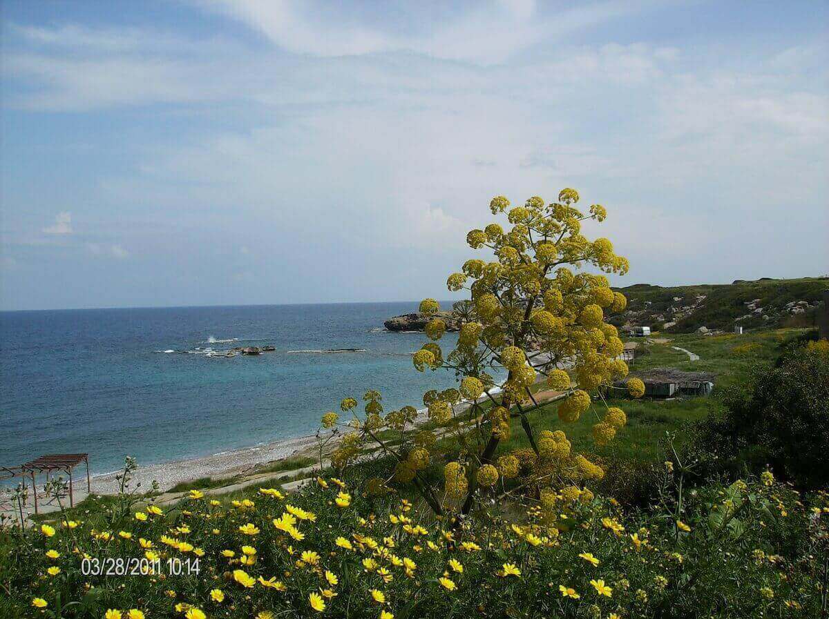 Tatlisu Marina Site Images - North Cyprus International 14