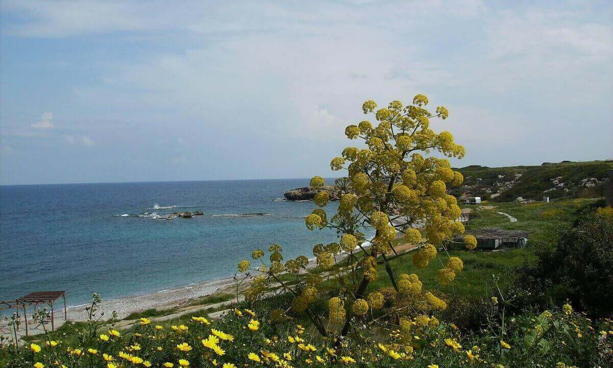 Tatlisu Marina Site Images - North Cyprus Property 9