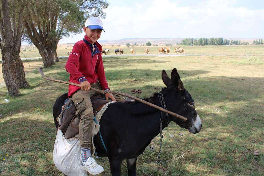 Общественный транспорт в Кирении – фото Халила Ибрагима Озджана: https://www.pexels.com/photo/a-boy-riding-a-donkey-13541129/