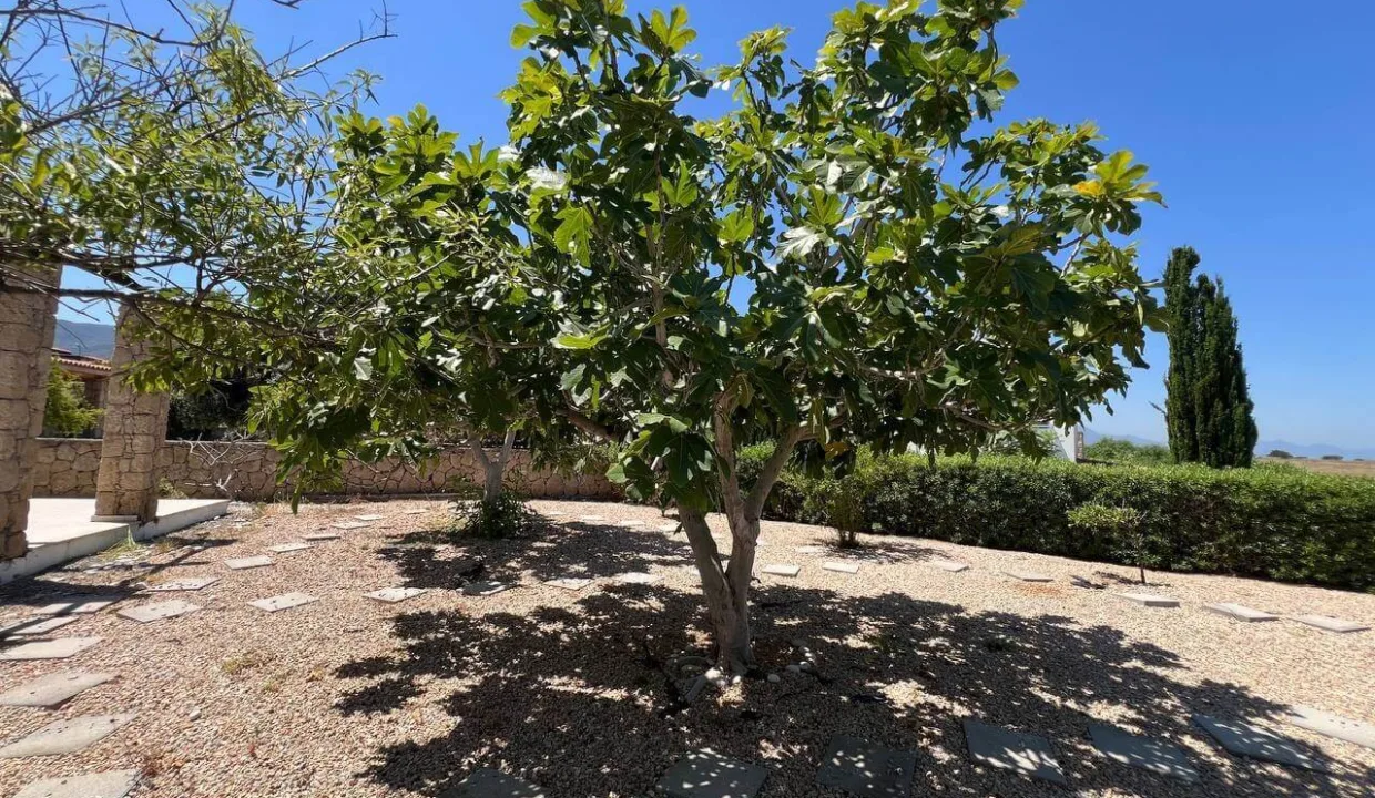Sweetwater Bay Villa 3 Bed - North Cyprus Property 43